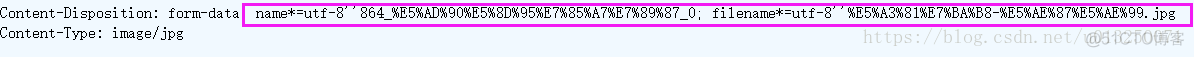 使用python requests库上传文件时，name和filename乱码问题_文件名_02