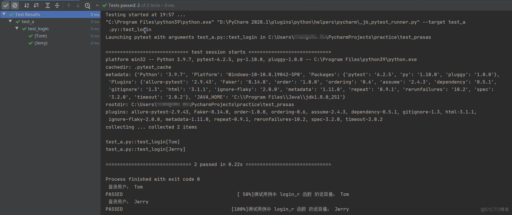 pytest实现用例参数化(@pytest.mark.parametrize)_参数化_06