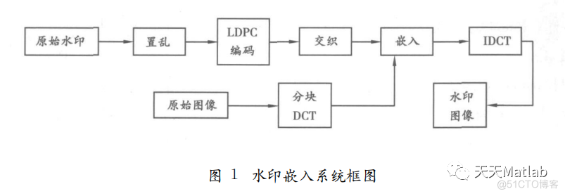 【图像隐藏】基于LDPC编码译码结合DCT算法实现图像水印嵌入提取含Matlab源码_嵌入水印_03