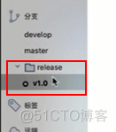 gitflow学习笔记_sourcetree_12