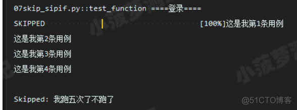 pytest的跳过相关_用例_04