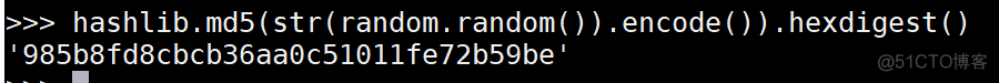python生成MD5加密的随机数_随机数