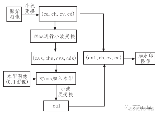 【数字水印】基于小波变换算法DWT实现水印嵌入提取含Matlab源码_信息隐藏