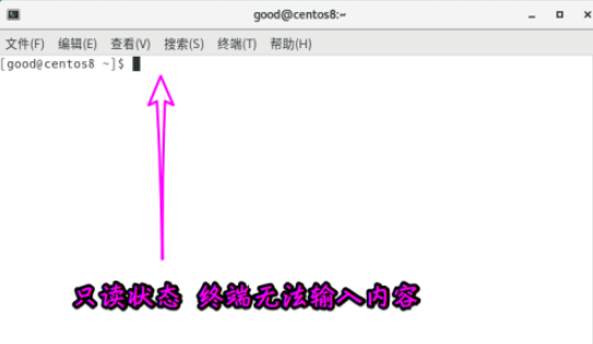 Centos8终端设置成只读模式方法介绍