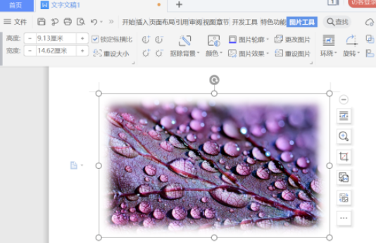 word图片柔化边缘设置教程分享