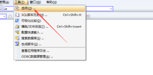 SqlDbx编辑器插入空格设置流程介绍