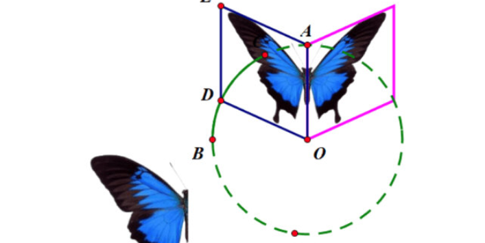 几何画板蝴蝶动画设计方法介绍
