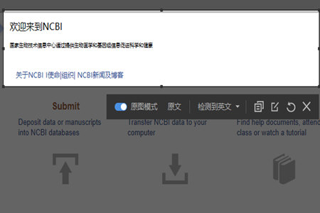 有道词典中实现截屏翻译的具体操作步骤