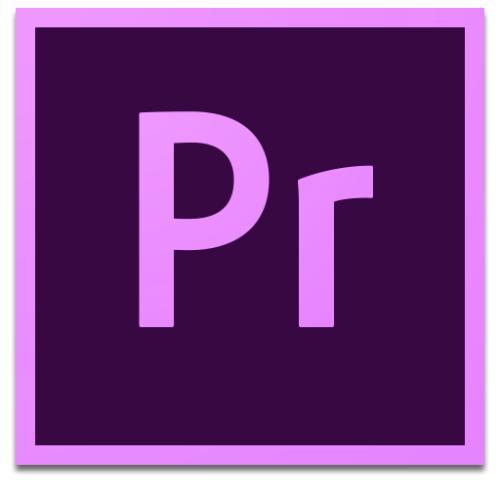 使用Adobe Premiere为部分识破打马赛克的具体操作方法