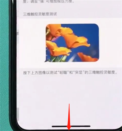 在iphonexr中怎么打开半屏功能?开半屏功能的方法说明 在iphonexr中怎么打开半屏功能?开半屏功能的方法说明