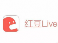 在红豆Live里怎么进行提现？红豆Live提现方法说明