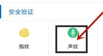 中国建设银行APP怎么设置声纹登录？设置声纹登录的方法说明