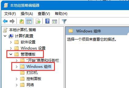 Win11怎么打开自动更新