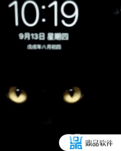 抖音上最近很火的黑猫图(抖音上最近很火的黑猫图片)