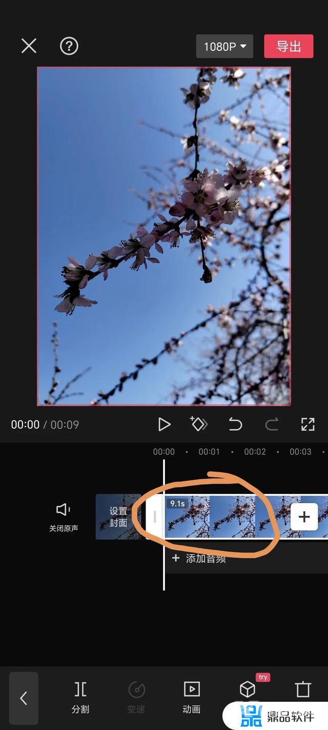 抖音里的视频怎么下载到手机里(如何把抖音上的视频下载到手机)