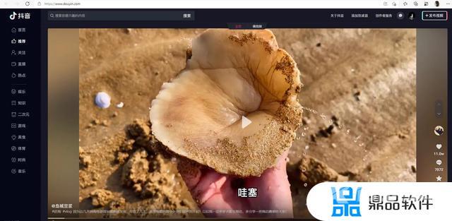 抖音能在电脑上登录吗(抖音能在电脑上登录吗安全吗)