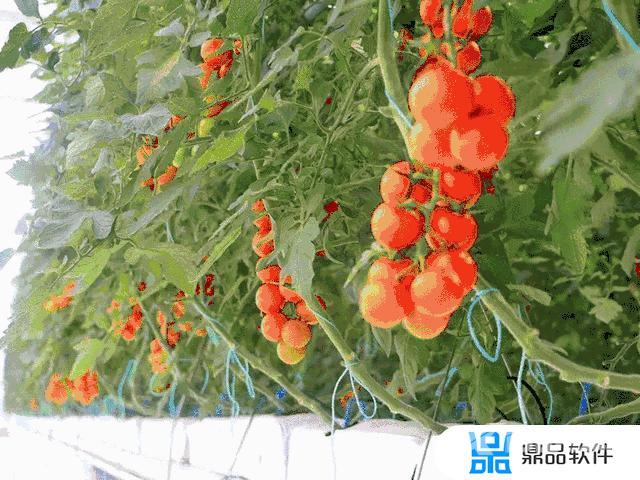 抖音李洋个人资料简介(抖音李洋个人资料简介女)