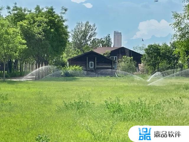 抖音李洋个人资料简介(抖音李洋个人资料简介女)