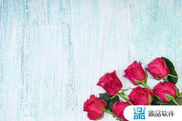 女人发抖音最火的句子励志(女人发抖音最火的句子励志图片)