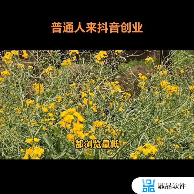 抖音和别人一起看视频别人能看到吗(抖音和别人一起看视频别人能看到吗怎么设置)