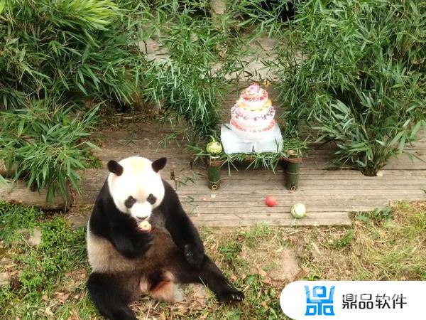 抖音网红横幅标语生日