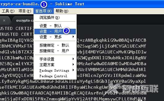 sublime Text如何设置禁止打开上次关闭未退出文件