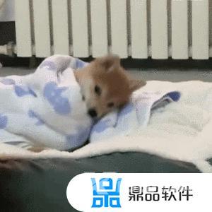 抖音猫躲墙后面表情什么意思(抖音一个猫躲墙后的表情)