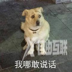 抖音猫躲墙后面表情什么意思(抖音一个猫躲墙后的表情)