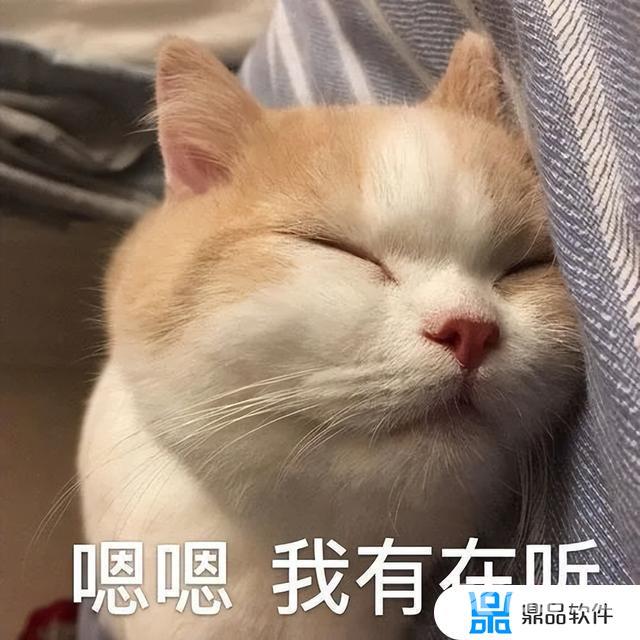 抖音猫躲墙后面表情什么意思(抖音一个猫躲墙后的表情)