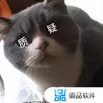 抖音猫躲墙后面表情什么意思(抖音一个猫躲墙后的表情)