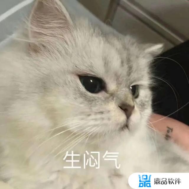 抖音猫躲墙后面表情什么意思(抖音一个猫躲墙后的表情)