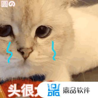 抖音猫躲墙后面表情什么意思(抖音一个猫躲墙后的表情)