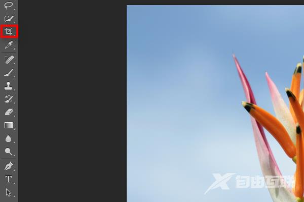 ps裁剪工具怎么不用比例裁剪?
