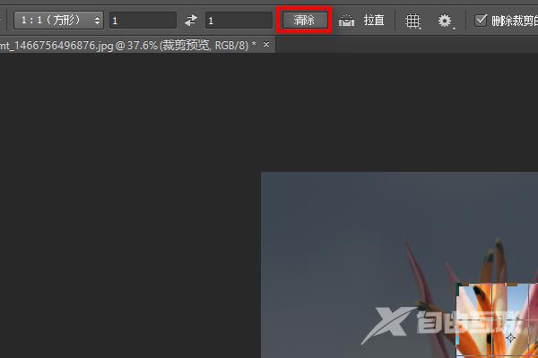 ps裁剪工具怎么不用比例裁剪?