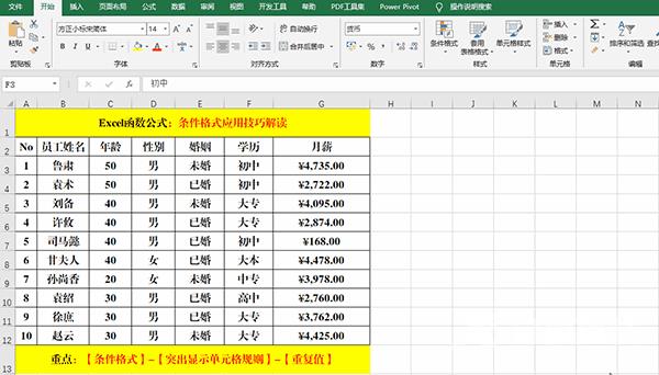 Excel 2019中使用条件格式分析数据的方法