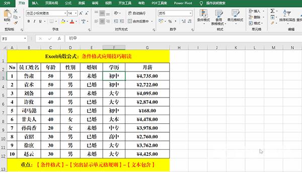 Excel 2019中使用条件格式分析数据的方法