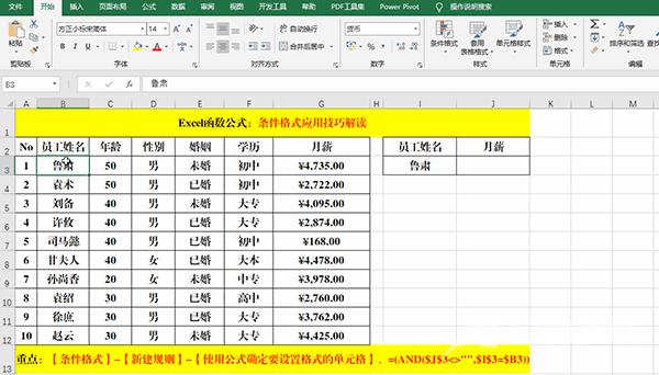 Excel 2019中使用条件格式分析数据的方法