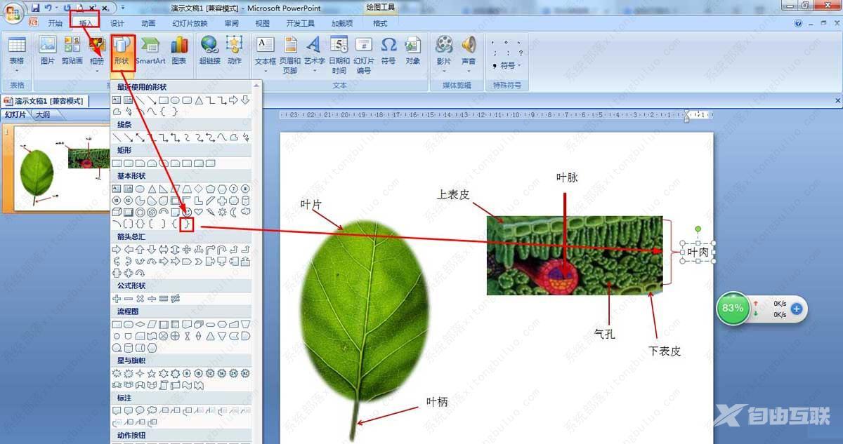 PPT怎么画树叶的结构名称图解-ppt画树叶的结构图的技巧