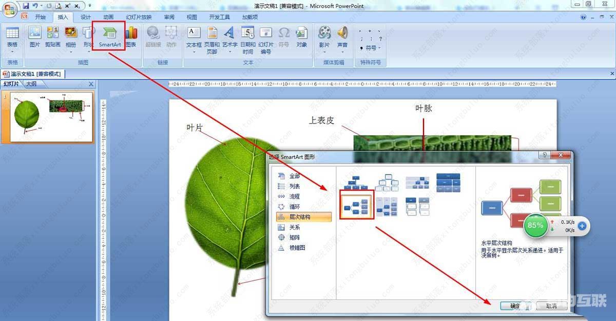 PPT怎么画树叶的结构名称图解-ppt画树叶的结构图的技巧