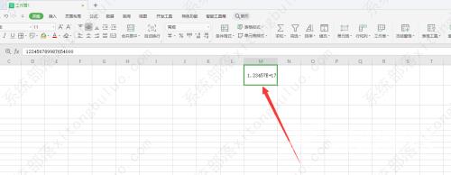 wps表格数字变成e+10怎么办？