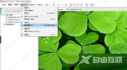 VM虚拟机怎么截屏？VMware截屏教程