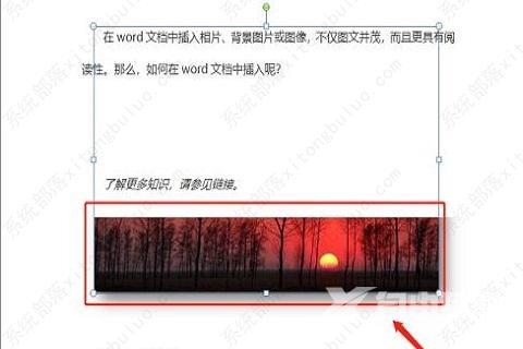 word嵌入式图片为什么显示不出来?word文档插入图片显示不全怎么办