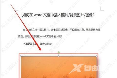 word嵌入式图片为什么显示不出来?word文档插入图片显示不全怎么办