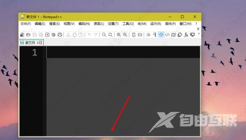 Notepad++隐藏状态栏教程