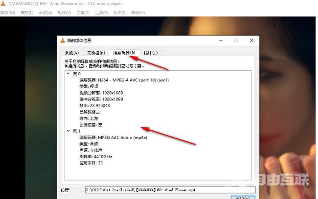 VLC media player如何显示播放信息