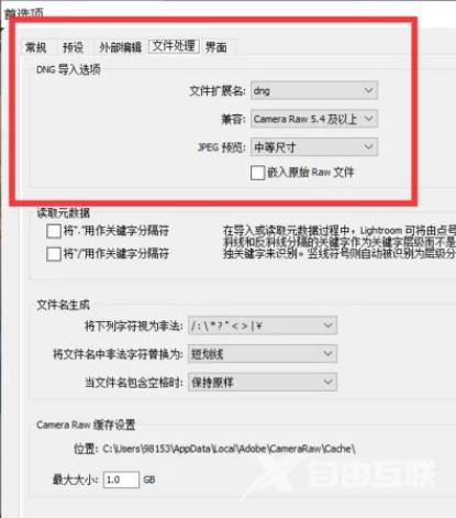 Lightroom如何设置DNG导入选项