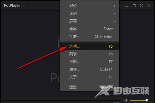 PotPlayer怎么保存设置到INI文件