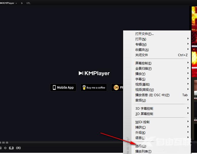 Kmplayer怎么进行更新