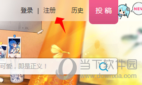 bilibili注册选项