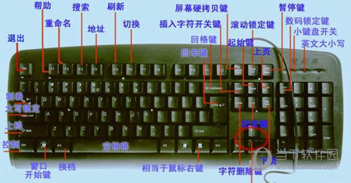 电脑F1到F12的作用